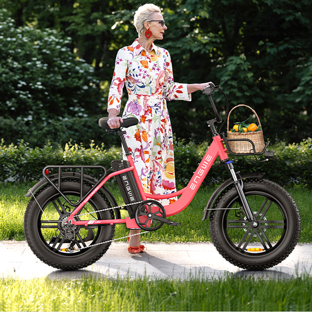 Engwe L20 250W 20" Fat Bike Step-through Electric Trekking Bike 48V 13Ah Battery