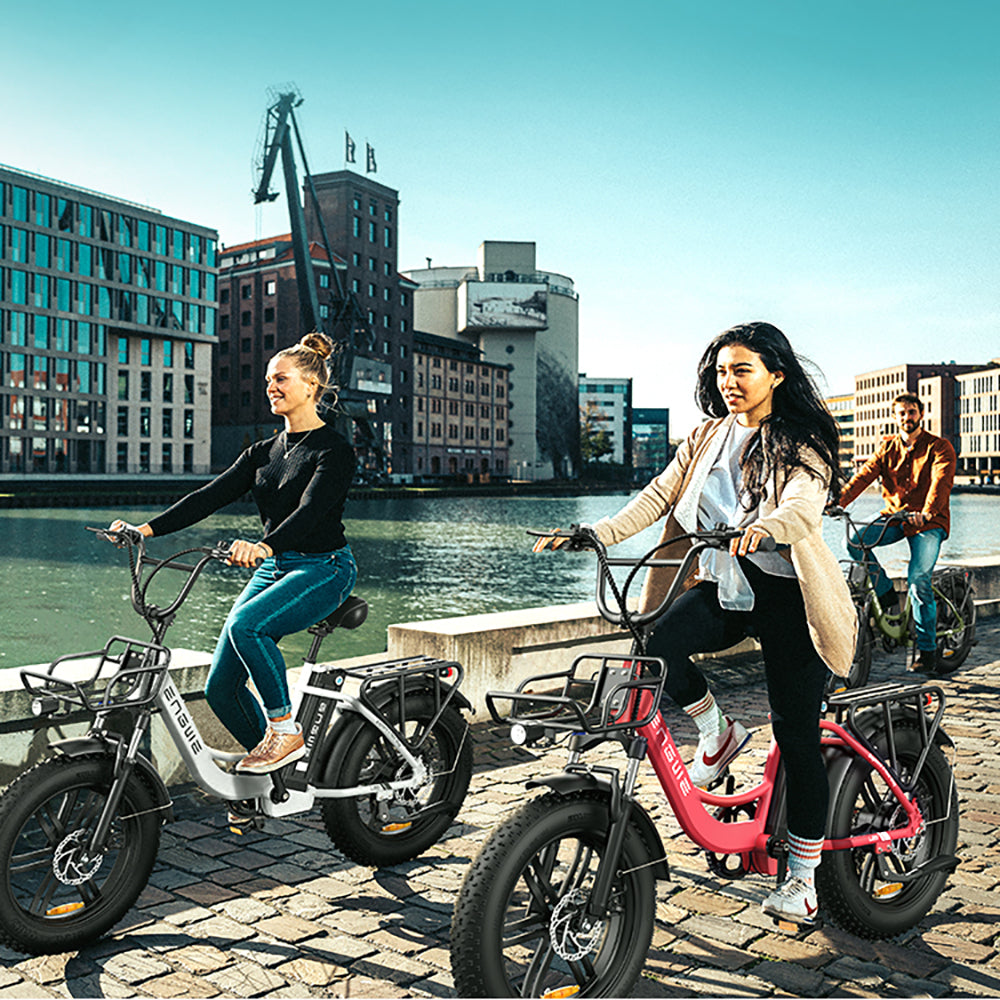 Engwe L20 250W 20" Fat Bike Step-through Electric Trekking Bike 48V 13Ah Battery
