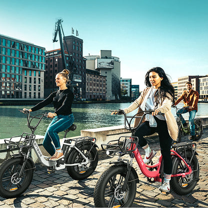Engwe L20 250W 20" Fat Bike Step-through Electric Trekking Bike 48V 13Ah Battery