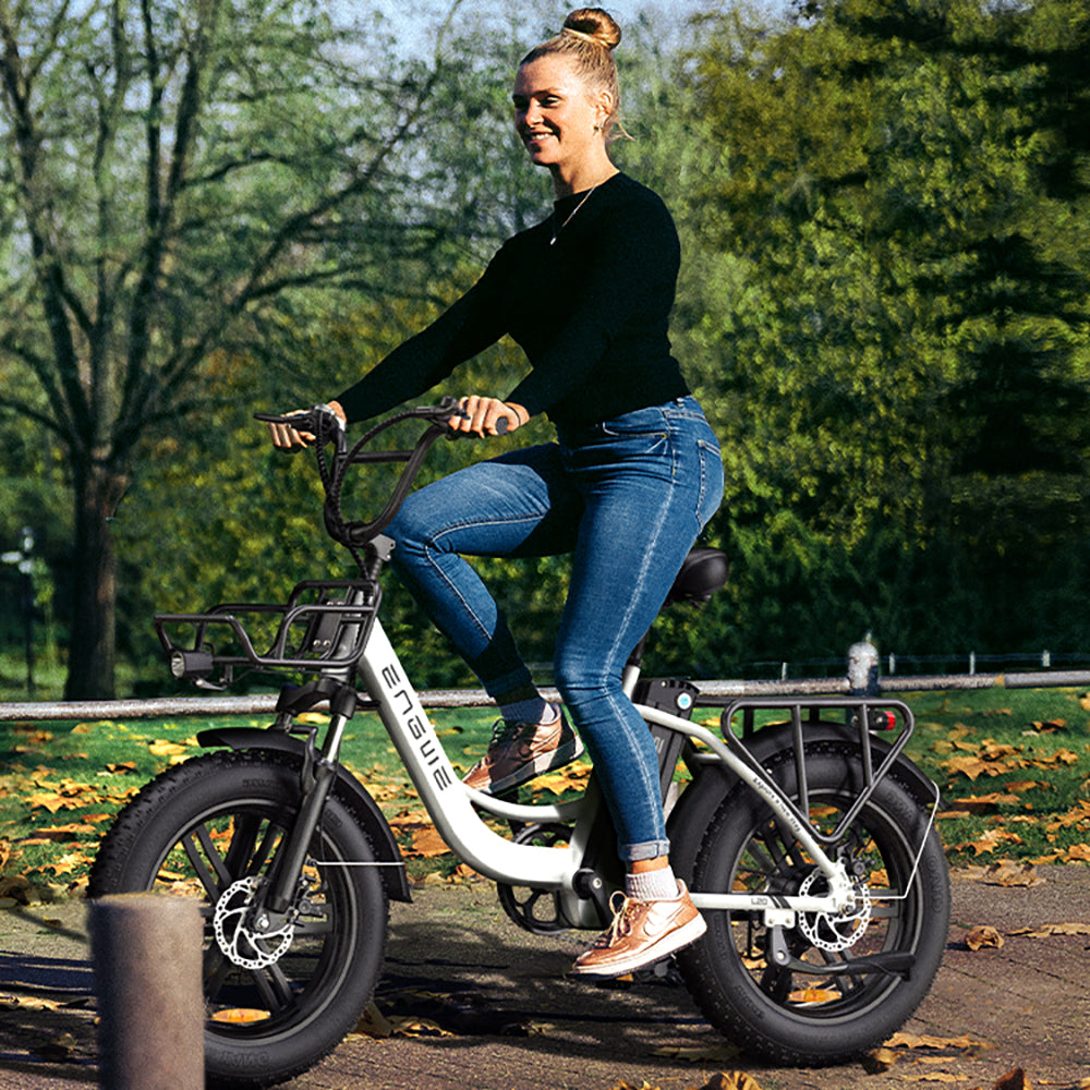 Engwe L20 250W 20" Fat Bike Step-through Electric Trekking Bike 48V 13Ah Battery