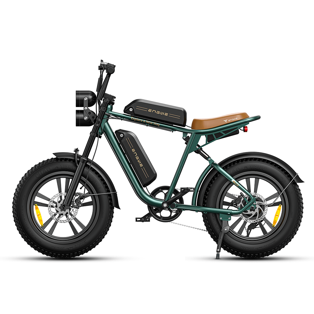 Engwe M20 750W 20" Fat Bike E Mountain Bike EMTB
