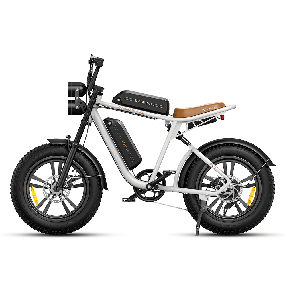 Engwe M20 750W 20" Fat Bike E Mountain Bike EMTB