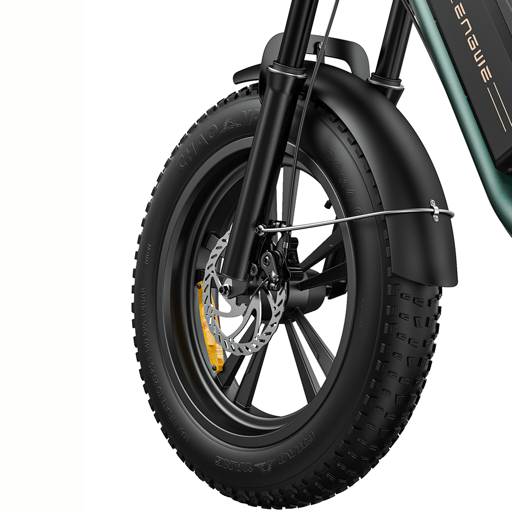 Engwe M20 750W 20" Fat Bike E Mountain Bike EMTB