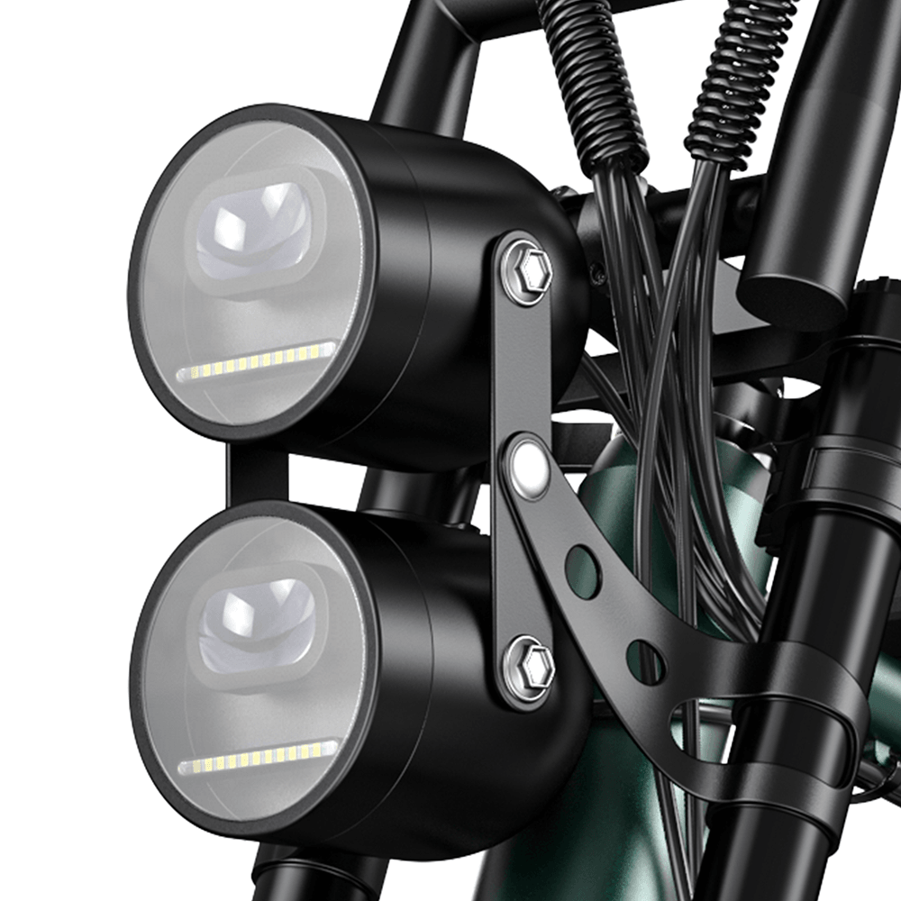Engwe M20 750W 20" Fat Bike E Mountain Bike EMTB