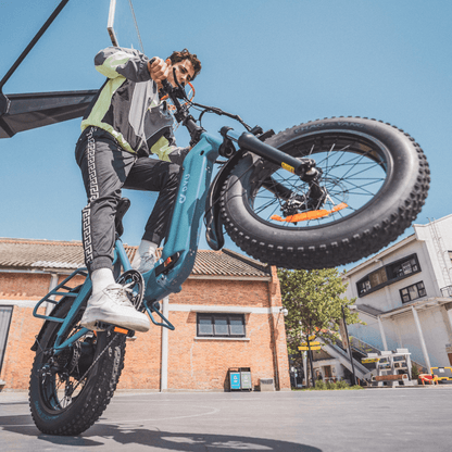 DYU FF500 500W 20" Foldable Fat Tire Electric Bike 48V 14Ah LG Battery