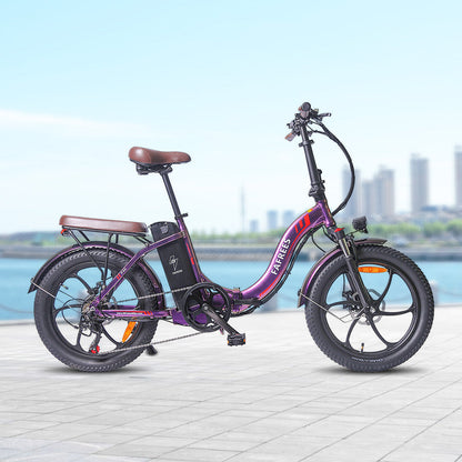 Fafrees F20 Pro 250W 20" Foldable Electric Bike Step-through City E-bike 36V 18Ah Battery