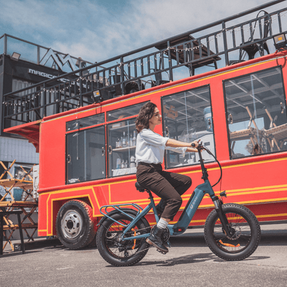 DYU FF500 500W 20" Foldable Fat Tire Electric Bike 48V 14Ah LG Battery