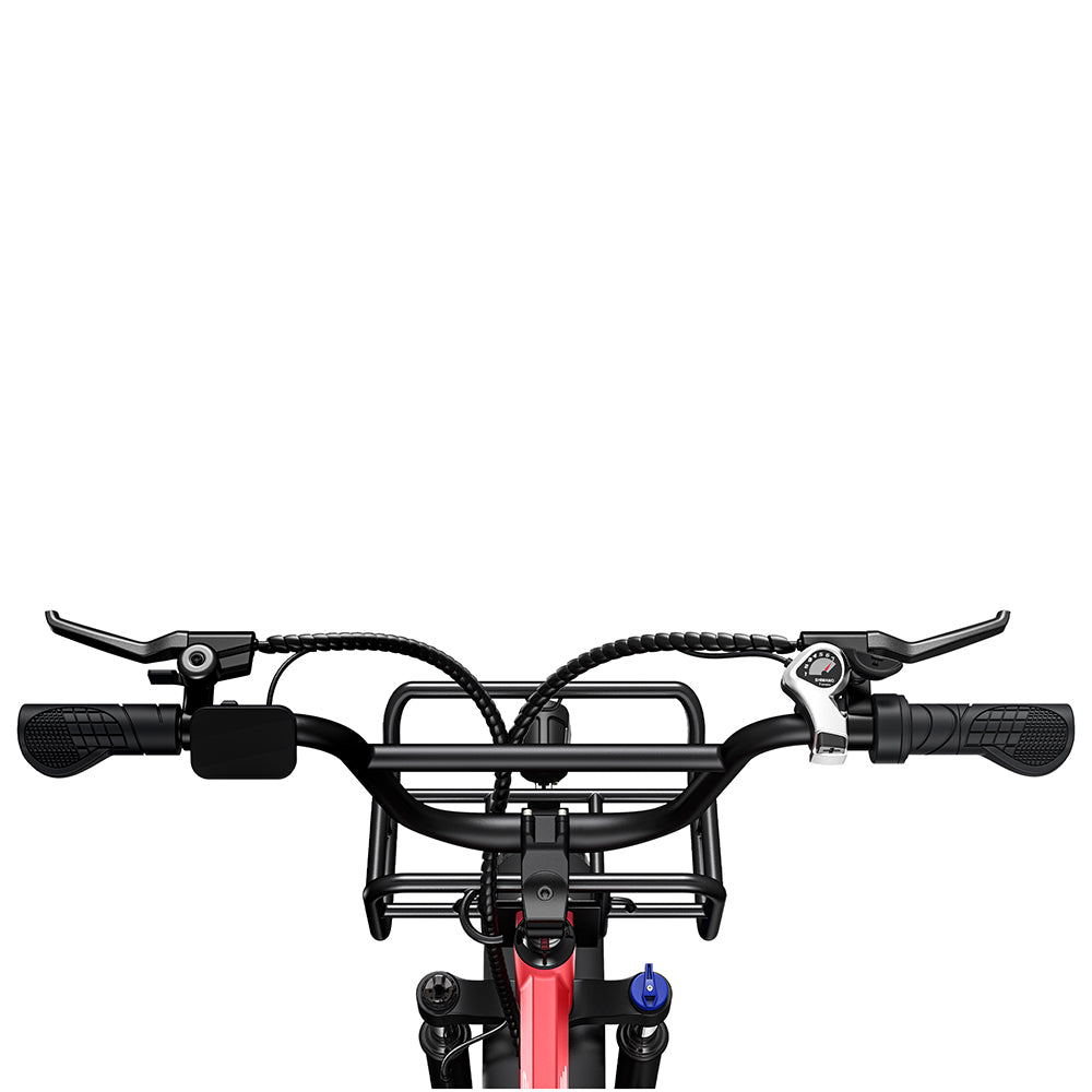 Engwe L20 250W 20" Fat Bike Step-through Electric Trekking Bike 48V 13Ah Battery
