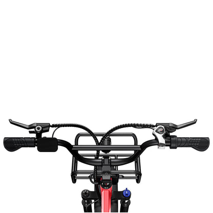 Engwe L20 250W 20" Fat Bike Step-through Electric Trekking Bike 48V 13Ah Battery