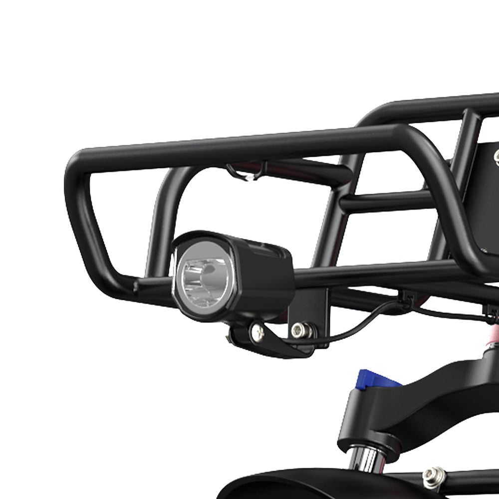 Engwe L20 250W 20" Fat Bike Step-through Electric Trekking Bike 48V 13Ah Battery