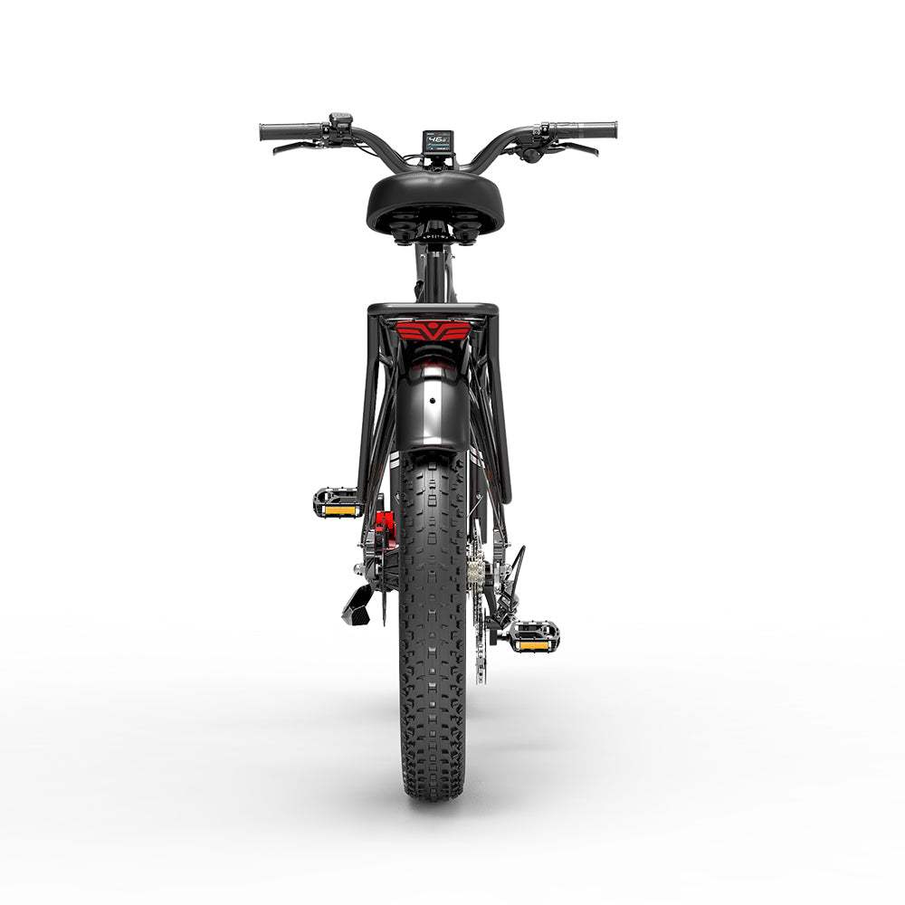 Dukawey DM530 Plus 1000W 26" Fat Bike All Terrain Electric Bike 52V 20Ah Samsung Battery