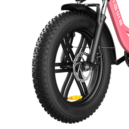 Engwe L20 250W 20" Fat Bike Step-through Electric Trekking Bike 48V 13Ah Battery