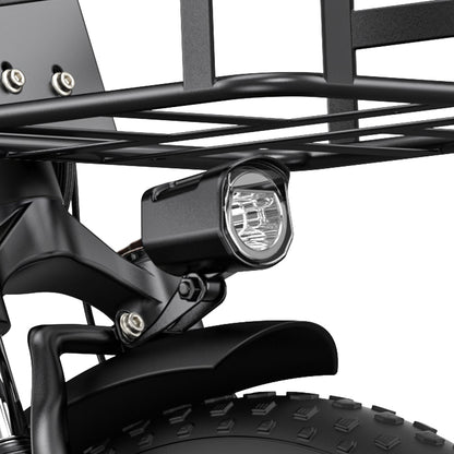 Engwe L20 SE 250W 20" Foldable Electric Bike Step-through Trekking E-bike 36V 15.6Ah Battery [Pre-Order]