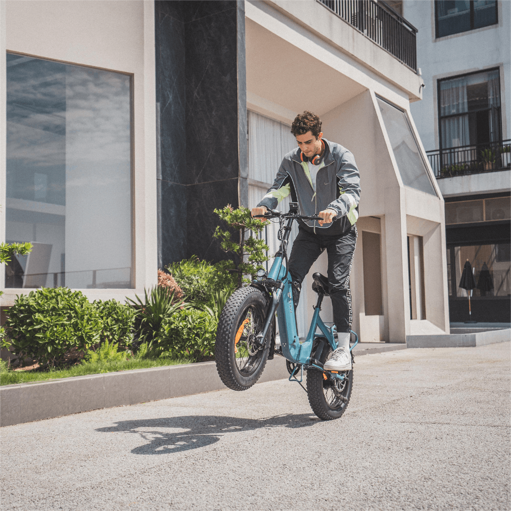 DYU FF500 500W 20" Foldable Fat Tire Electric Bike 48V 14Ah LG Battery