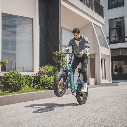 DYU FF500 500W 20" Foldable Fat Tire Electric Bike 48V 14Ah LG Battery