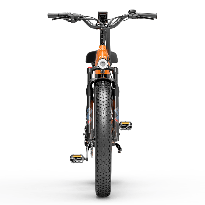 Lankeleisi MG600 Plus 1000W 26" Fat Bike E-Mountain Bike 25 Mph 93 Miles 20Ah Samsung Battery - Buybestgear UK
