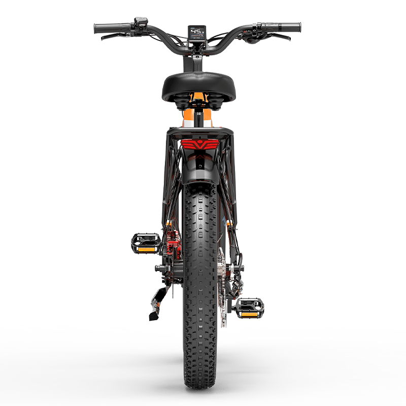 Lankeleisi MG600 Plus * 2 E-Bikes Combo