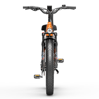 Lankeleisi MG600 Plus * 2 E-Bikes Combo