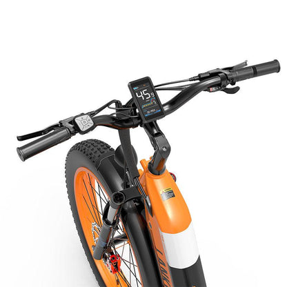 Lankeleisi MG600 Plus * 2 E-Bikes Combo