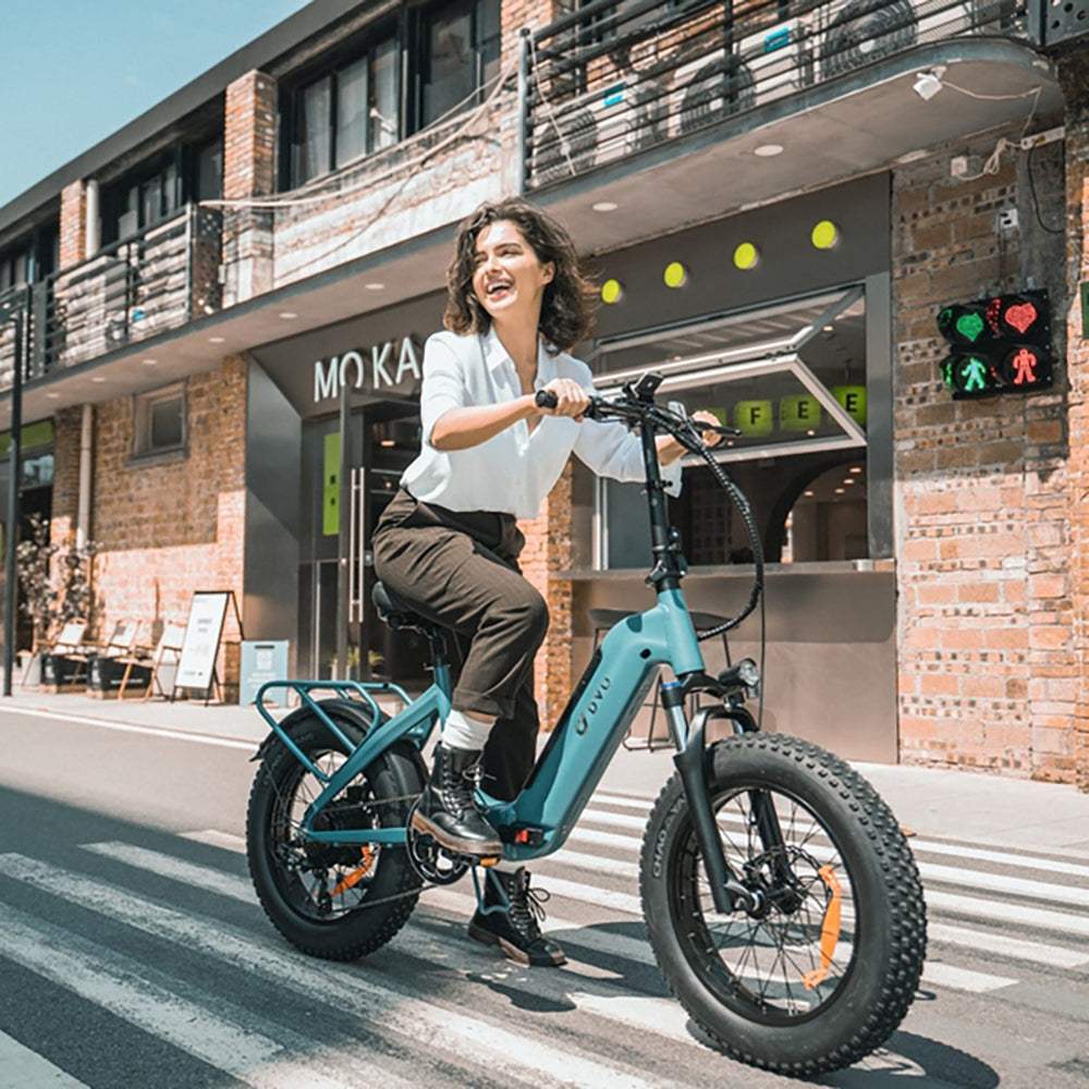 DYU FF500 500W 20" Foldable Fat Tire Electric Bike 48V 14Ah LG Battery