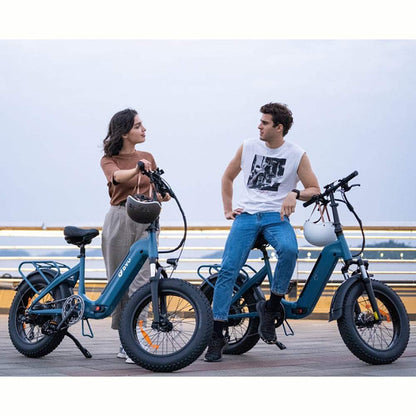 DYU FF500 500W 20" Foldable Fat Tire Electric Bike 48V 14Ah LG Battery